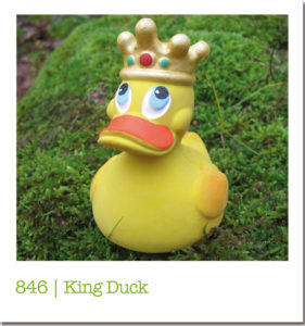 846 | King Duck