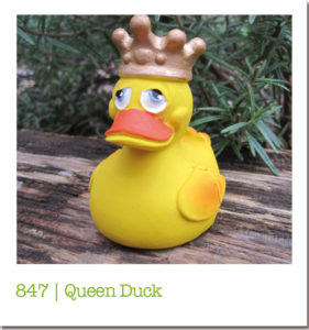 847 | Queen Duck
