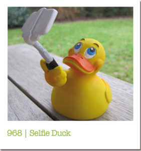 968 | Selfie Duck