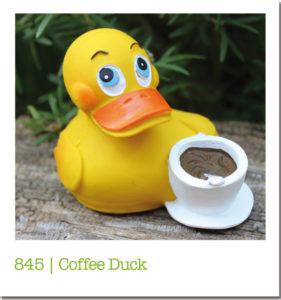 845 | Coffee Duck