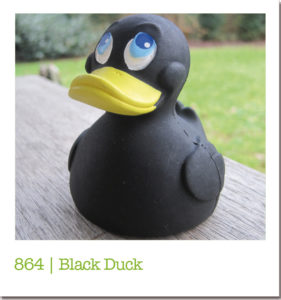 864 | Black Duck
