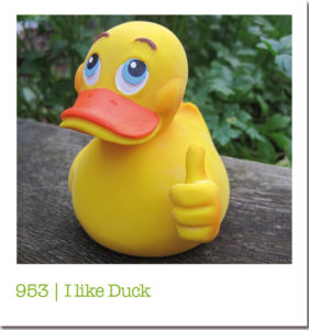 953 | I like Duck