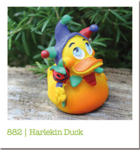 882 | Harlekin Duck