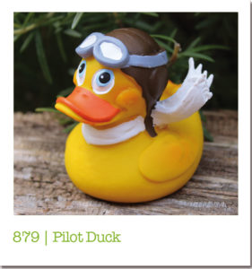 879 | Pilot Duck