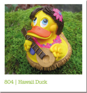 804 | Hawaii Duck
