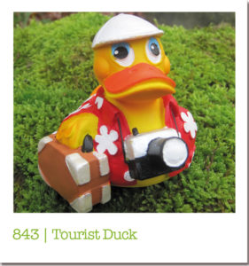 843 | Tourist Duck