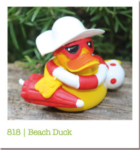 818 | Beach Duck