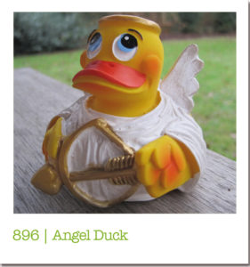 896 | Angel Duck