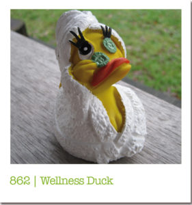 862 | Wellness Duck